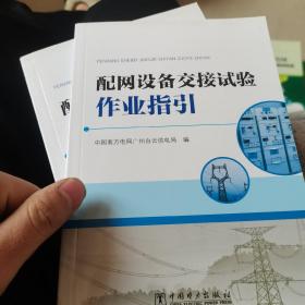 配网设备交接试验作业 指引