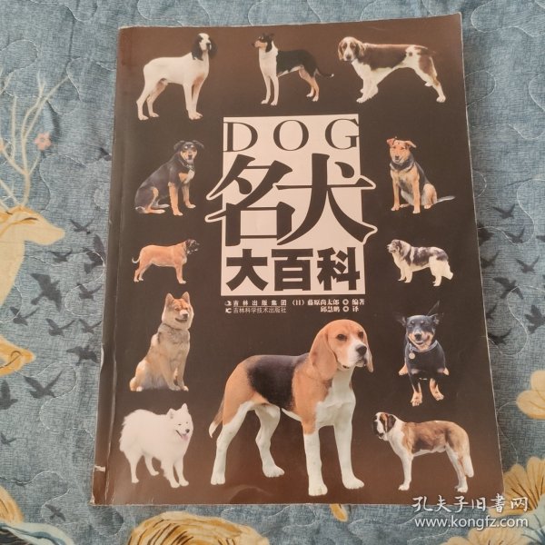 名犬大百科