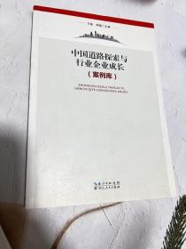 中国道路探索与行业企业成长（案例库）