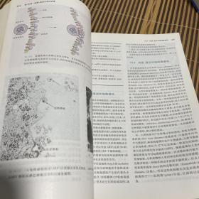微生物学(第5版)(中文版）