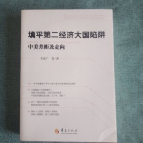 填平第二经济大国陷阱：中美差距及走向