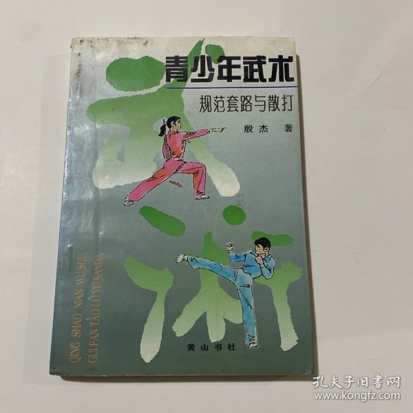 青少年武术规范套路与散打