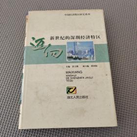 迈向新世纪的深圳经济特区