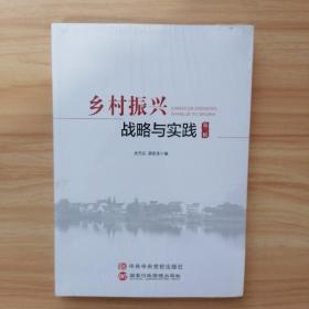 乡村振兴战略与实践 第三辑【全新 未开封】