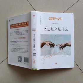 文艺复兴的故事01：文艺复兴是什么：《罗马人的故事》作者盐野七生最新系列作品。文艺复兴，人类群星闪耀时。