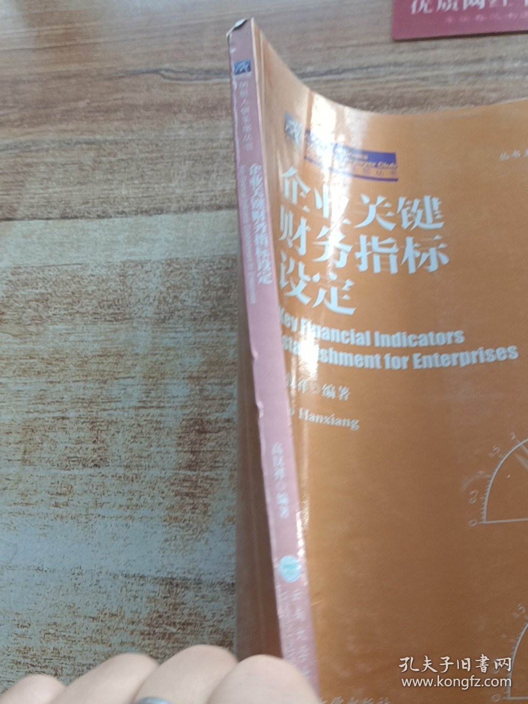 企业关键财务指标设定/纳税人俱乐部丛书