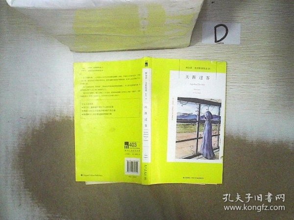 天涯过客：阿加莎·克里斯蒂侦探作品集13