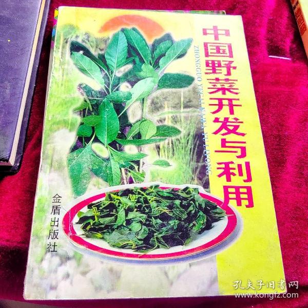 中国野菜开发与利用