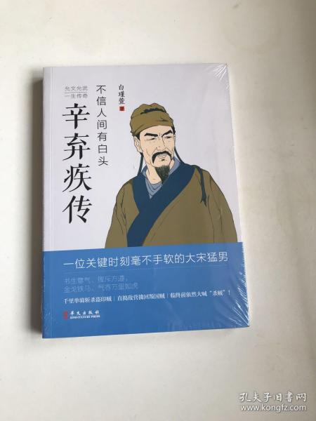 不信人间有白头：辛弃疾传