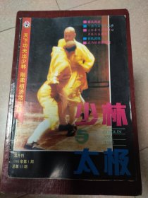 少林与太极1993年1