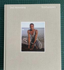 joel meyerowitz