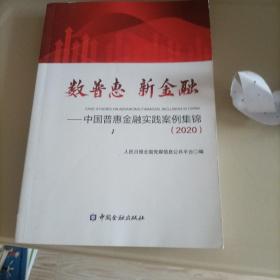 数普惠 新金融——中国普惠金融实践案例集锦(2020)