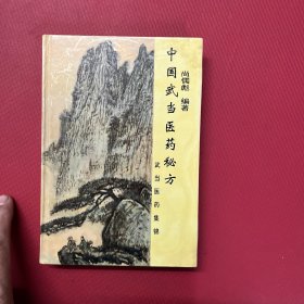 中国武当医药秘方