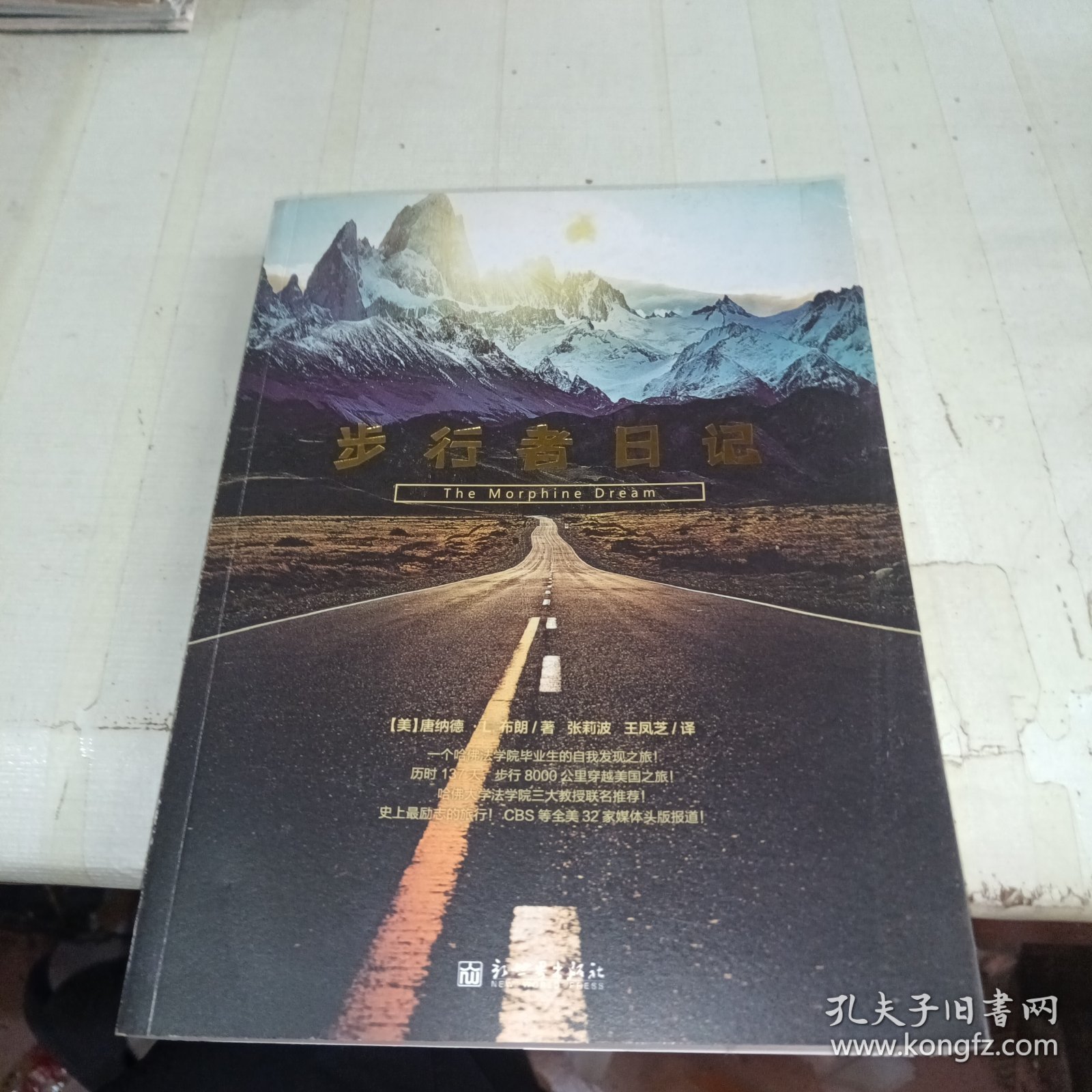 步行者日记：行走在痛与梦之间