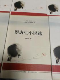 星星诗文库 卷四全六册