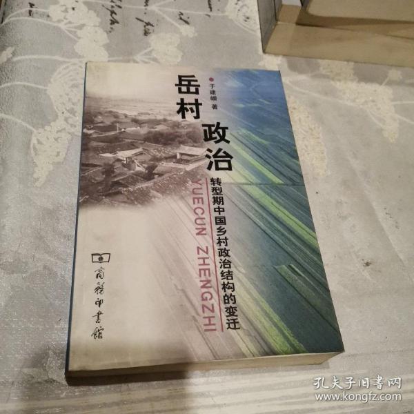 岳村政治：转型期中国乡村政治结构的变迁