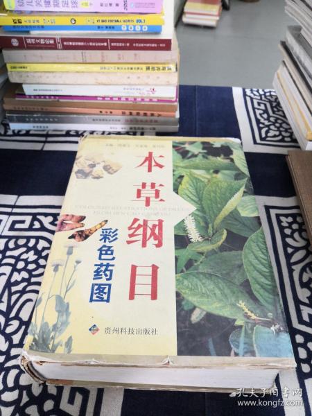 本草纲目彩色药图