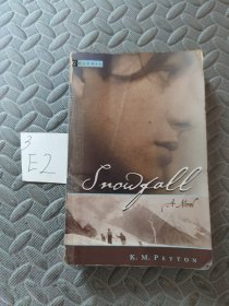 Snowfall