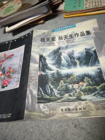 杨天军 杨天生作品集