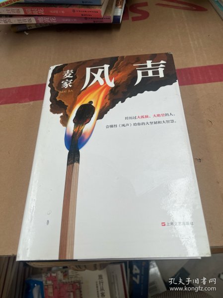 风声（麦家全新修订！经历过大孤独、大绝望的人，会懂得《风声》给你的大坚韧和大智慧。新增717处修订，麦家创作谈，原创插画）