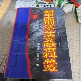 新中国刑法立法文献资料总览 下
