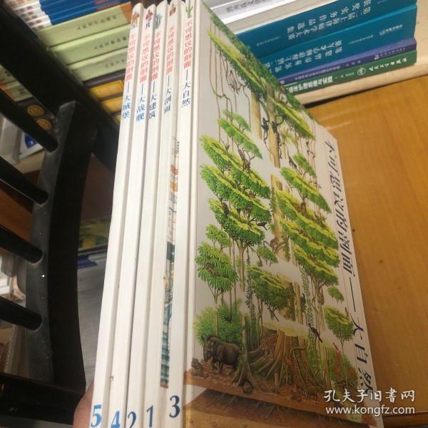 不可思议的剖面——大战舰：Man-Of-War : Stephen Biesty's Cross-Sections (Hardcover)