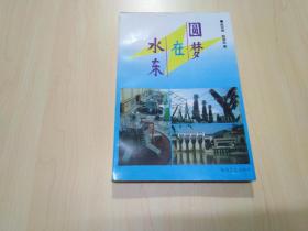 圆梦在水东（尤溪县委党史研究室策划）
