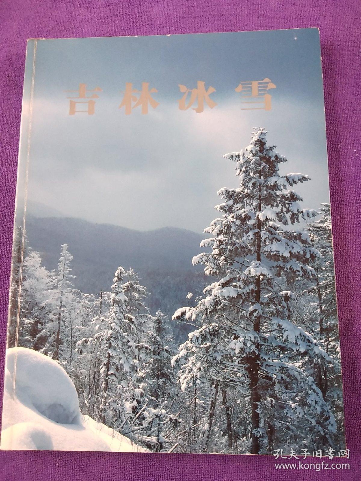 吉林冰雪.