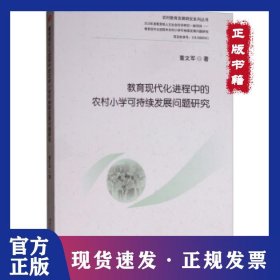 教育现代化进程中的农村小学可持续发展问题研究