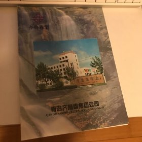 青岛齐鲁春酒、老简介页、九十年代、罕见！