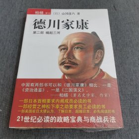 德川家康（第二部）：崛起三河