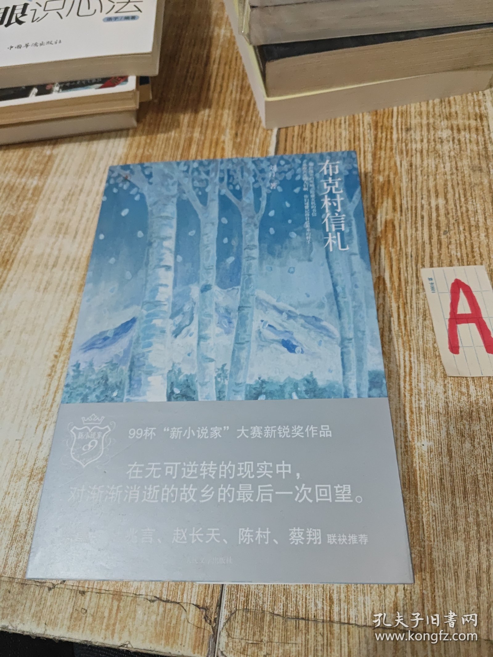 布克村信札：新小说家系列 （一版一印）