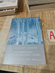 布克村信札：新小说家系列