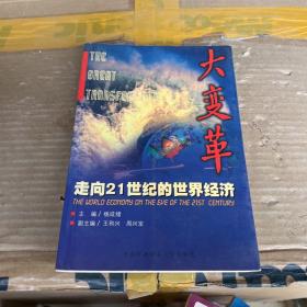 大变革-走向21世纪的世界经济