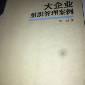 大企业组织管理案例