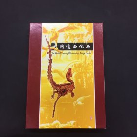 中国辽西化石 鱼化石