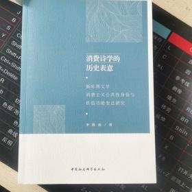 消费诗学的历史表意-（新时期文学消费主义公共性身份与价值功能变迁研究）