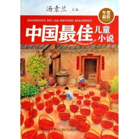 年度最佳作品系列:中国最佳儿童小说