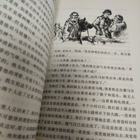 世界儿童文学名著插图本:黑骏马