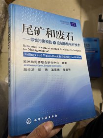 尾矿和废石：综合污染预防与控制最佳可行技术