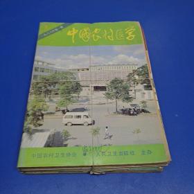 中国农村医学杂志（1988）