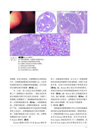 新华正版 胃与肠：希望大家了解的十二指肠病变 （日）《胃与肠》编委会 编著，《胃与肠》翻译委员会 译 9787559100313 辽宁科学技术出版社