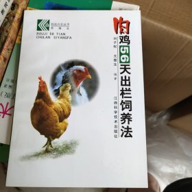 肉鸡56天出栏饲养法