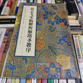 历代名碑名帖实临丛书 翁志飞实临解析雁塔圣教序