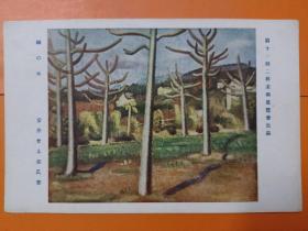 00232  日本老明信片 第十一回二科美术展览会出品   桐之木 安井会太郎 氏 笔