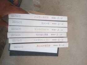 张小娴小说精选集（蝴蝶过期居留、情人无泪、荷包里的单人床、面包树上的女人、我们都是丑小鸭、三个A Cup的女人）全六册