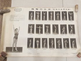 矫正体操 1956年14张全