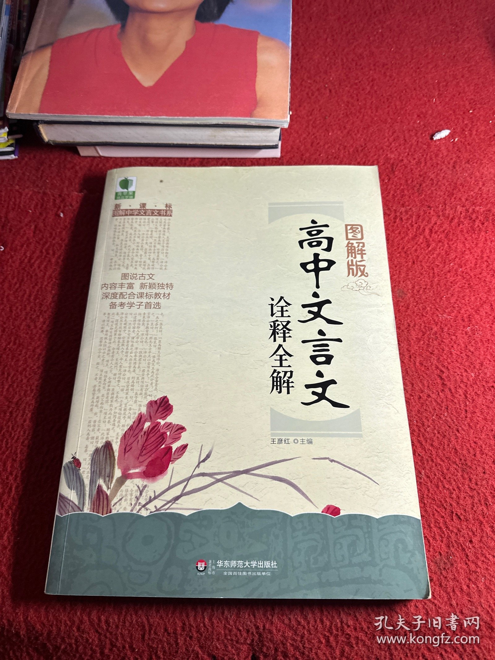 大夏书系·青苹果精品学辅：图解版高中文言文诠释全解