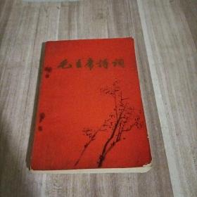 1969年 毛主席诗词(学习体会)