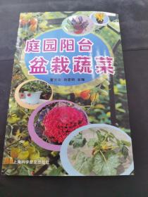 庭园阳台盆栽蔬菜   （存放67层6o）